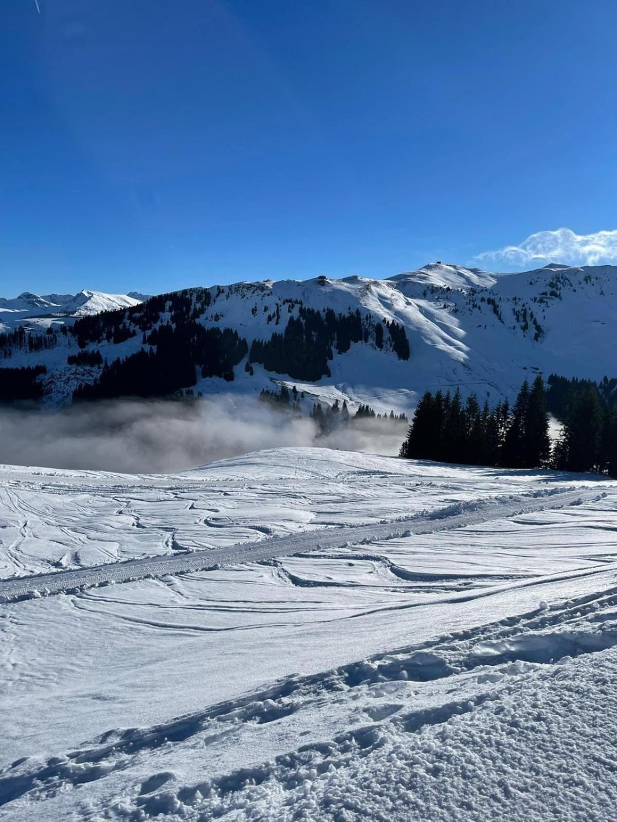 Geniessen Sie Bergblick & Sauna Im Modernen Chalet Going am Wilden Kaiser Exterior foto